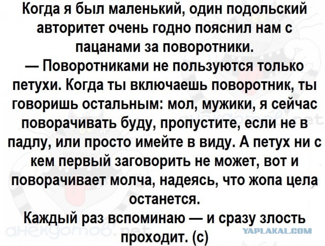 Хоть какая-то польза от соцсетей
