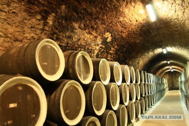 Крым: Судак и окрестности