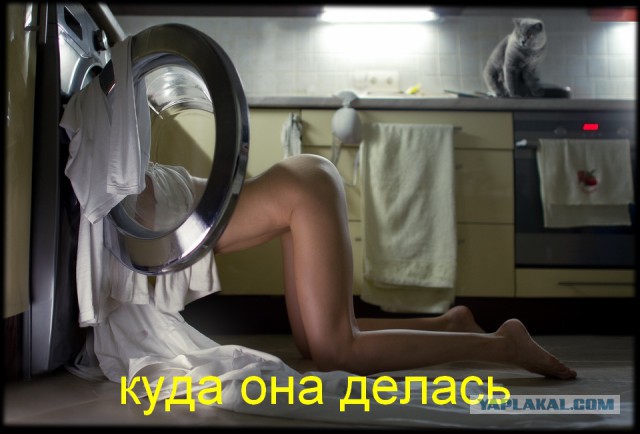 Кошка, стирка и истерика.