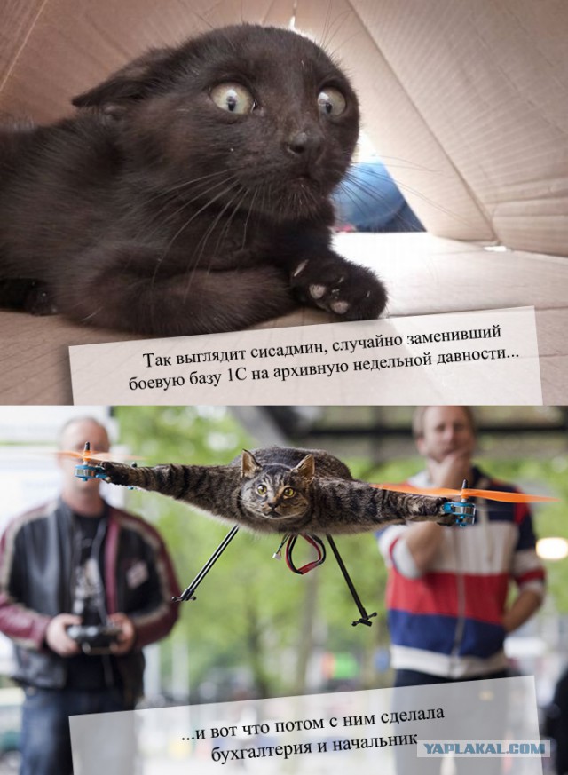 Ошибка дизайнера