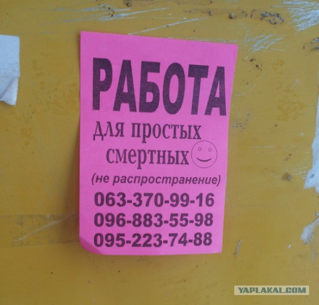 Лучшее народное творчество февраля