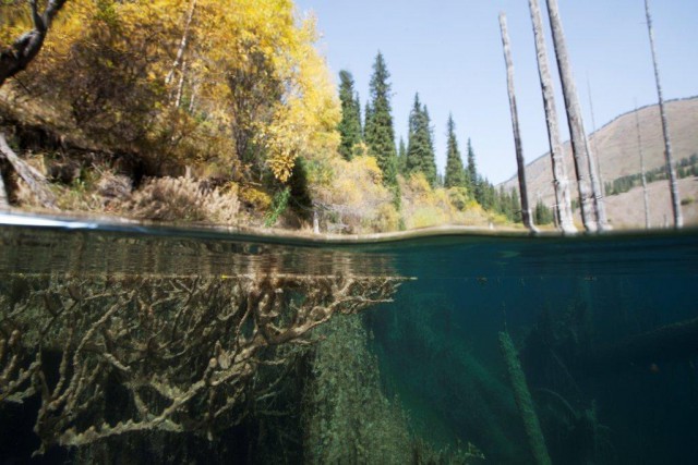 Озеро Каинды - Утонувший лес
