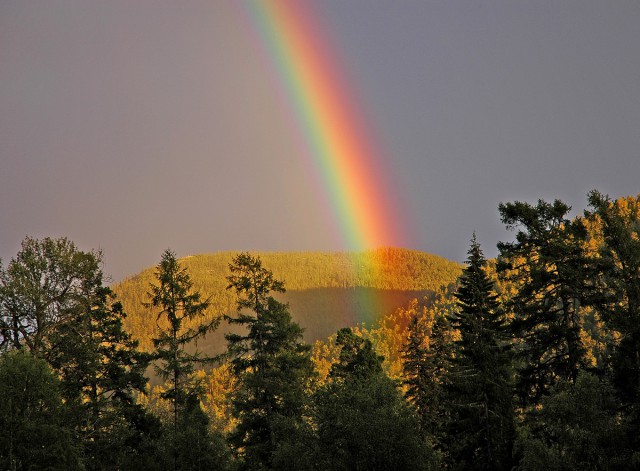 Деревенская Америка