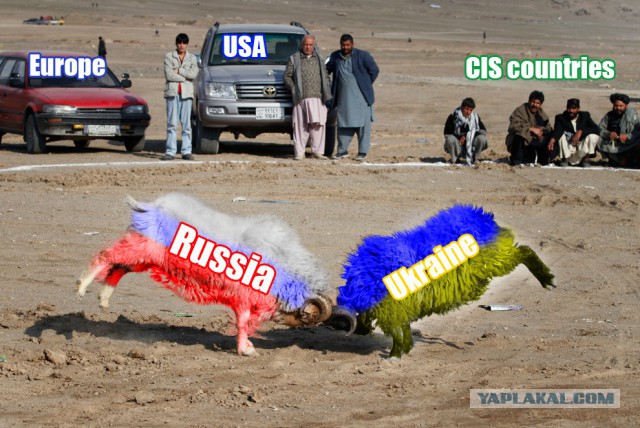 Слово за Украину