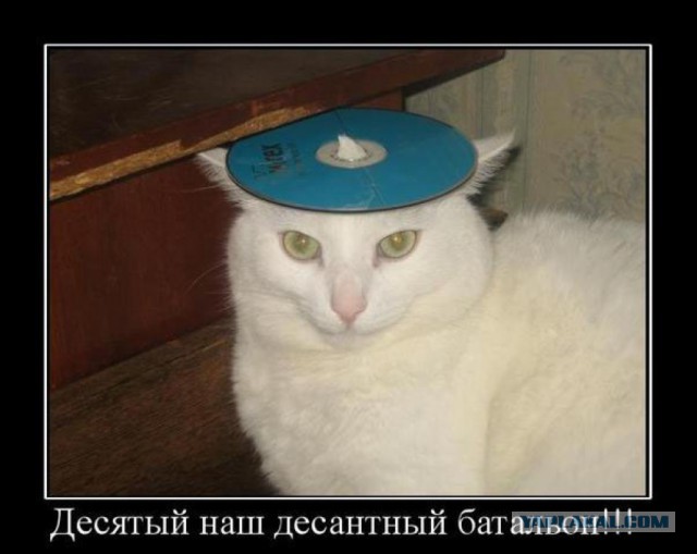 Эпичные фотографии