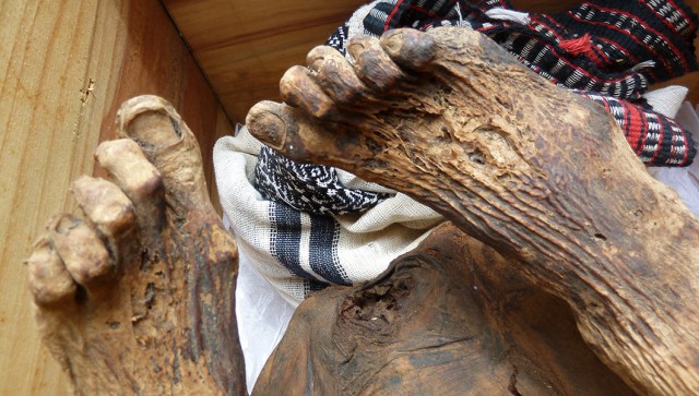 Мумий Троллинг