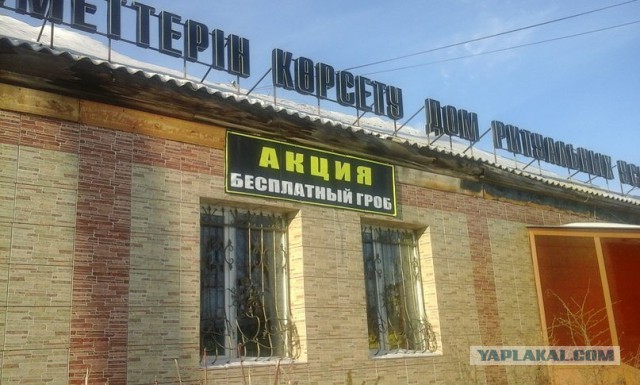 Прикольные фото и демотиваторы
