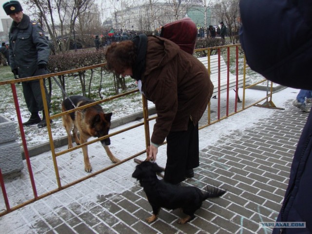 Митинг 10 декабря