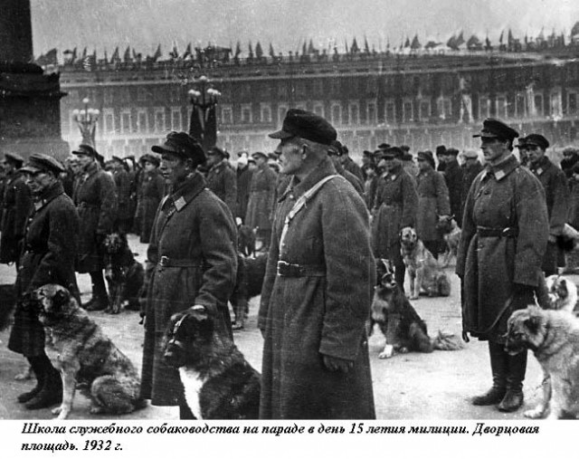 Уголовный розыск Петрограда – Ленинграда