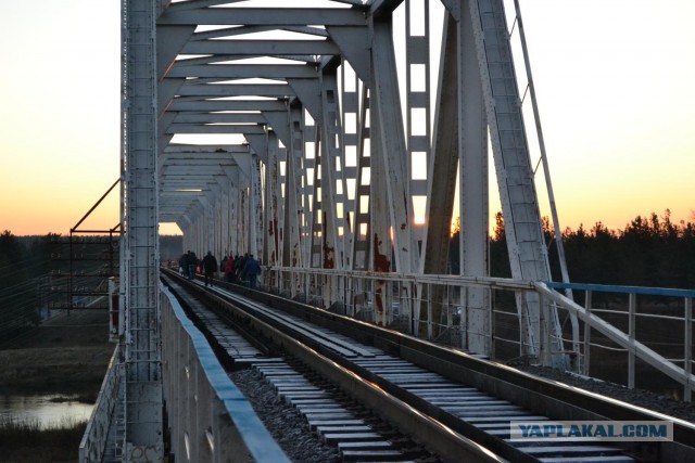 Обрушился мост в Архангельской области