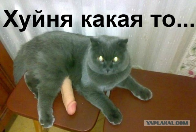 Пацан сказал - пацан выпил