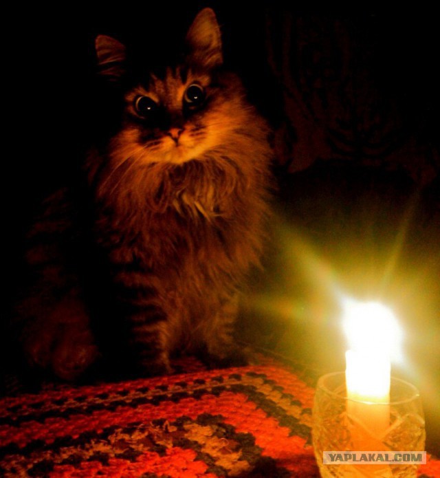 Не растерялась!