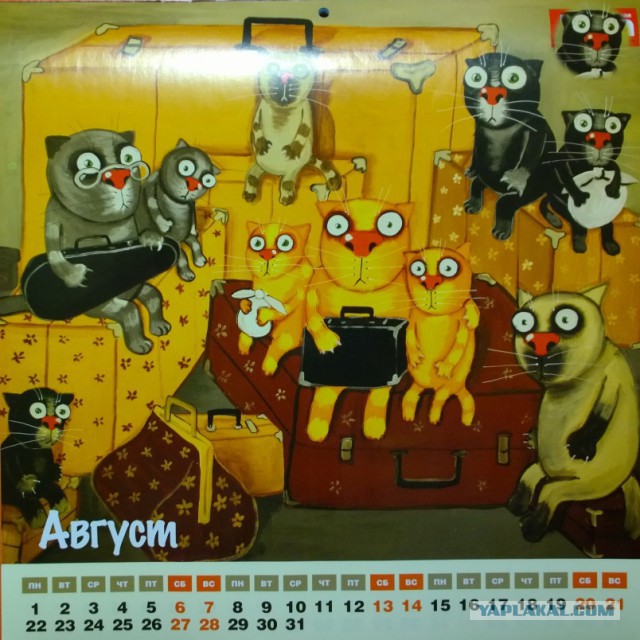 Котолендарь на 2016 год
