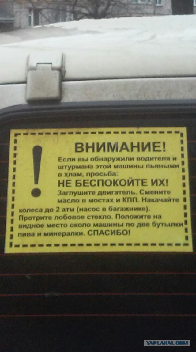 Что обычно водители пишут на своих автомобилях?