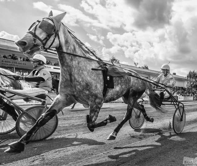 Фотографии победителей премии Best of Russia — 2015