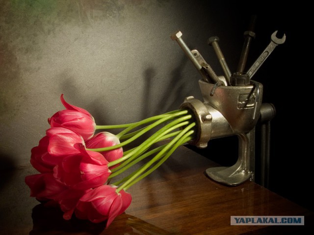 Кулинарное поздравление девчонкам ЯПа