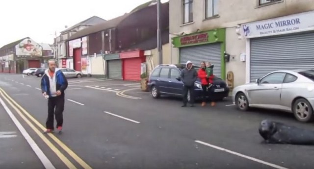 Хорошо устроился!