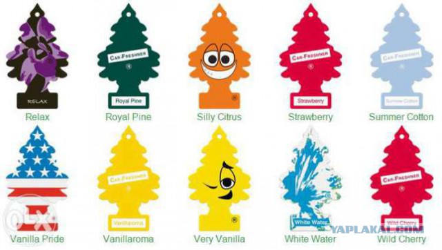 Вы воняете на весь автобус. Помойтесь