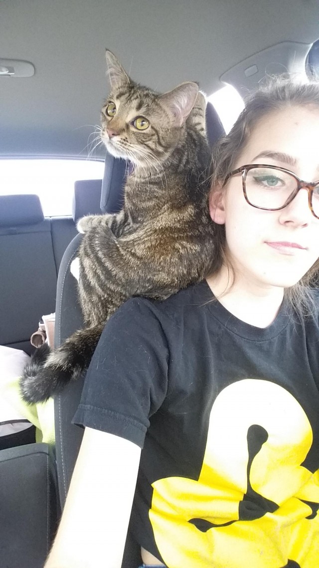 Порция картинок из сети