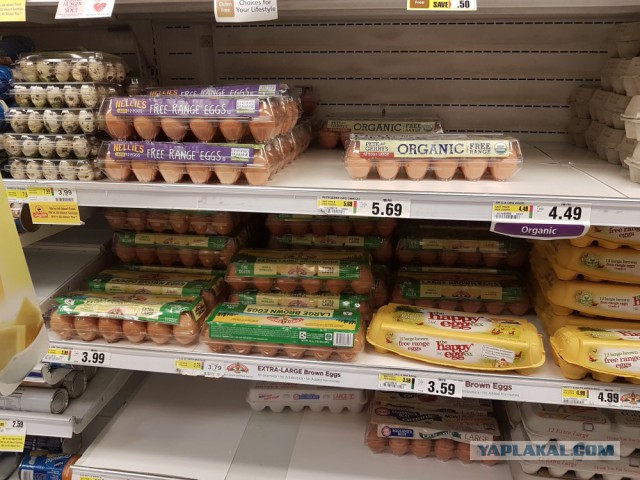 Цены в простом супермаркете, Нью-Йорк.