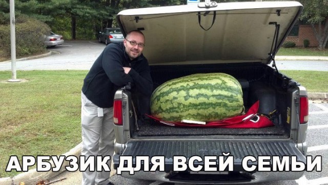Порция картинок из сети