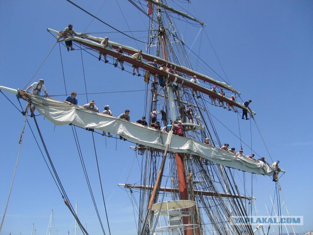 Пора вари... валить бетон! "Альты", шах и мат!