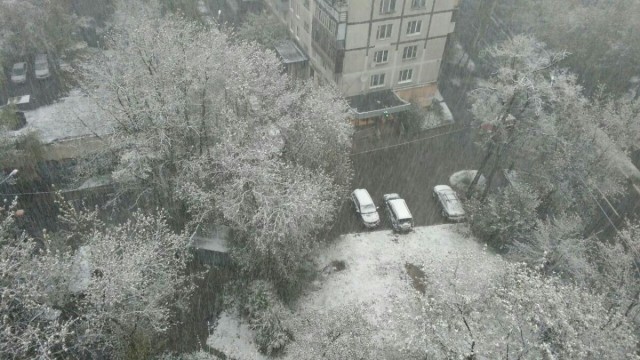 Голицыно, Подмосковье. 100-е февраля.