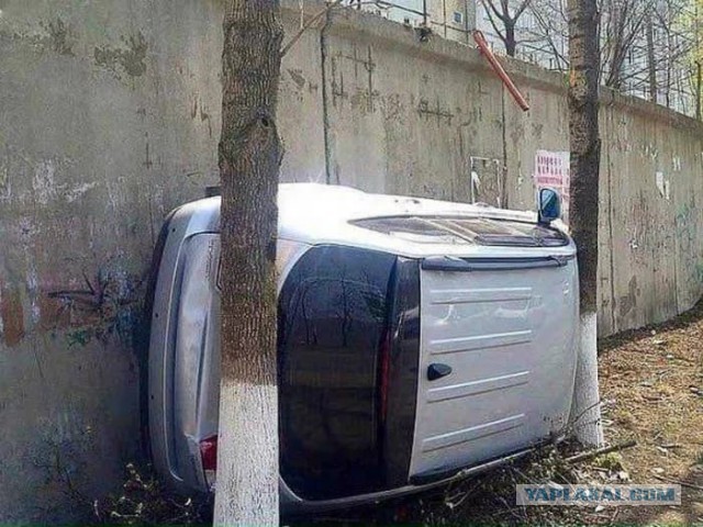 27 фото, на которых происходит непонятно что