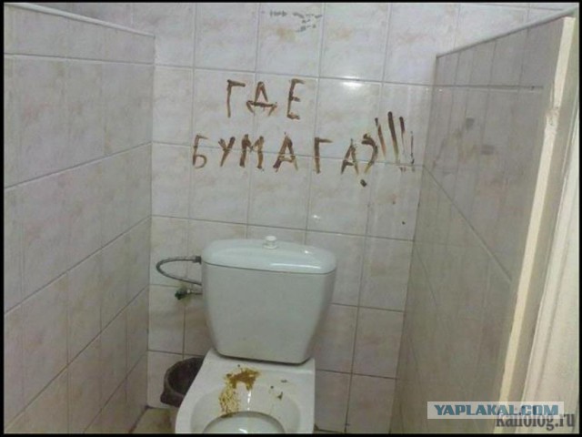 Как люди ходят в туалет на трассе
