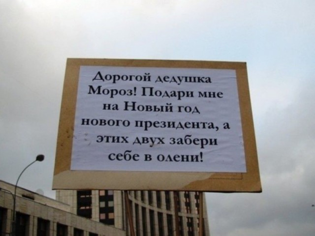 23 фото, после которых у вас появится новогоднее настроение