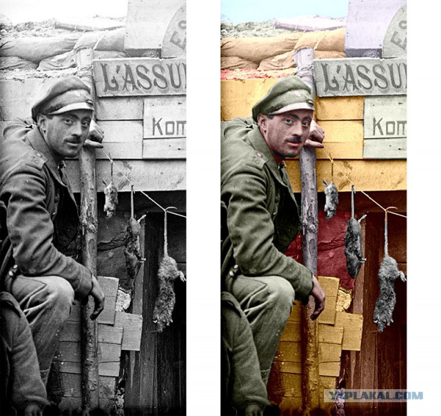 "Пейзажи" Первой мировой