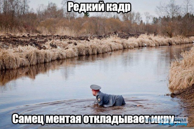 Зря вы это всё...