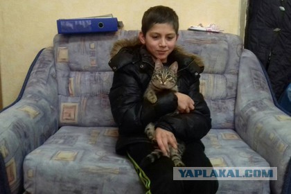 Кот согрел в сарае пропавшего мальчика