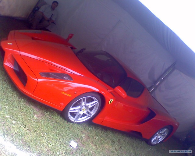 Expoexotica 2008