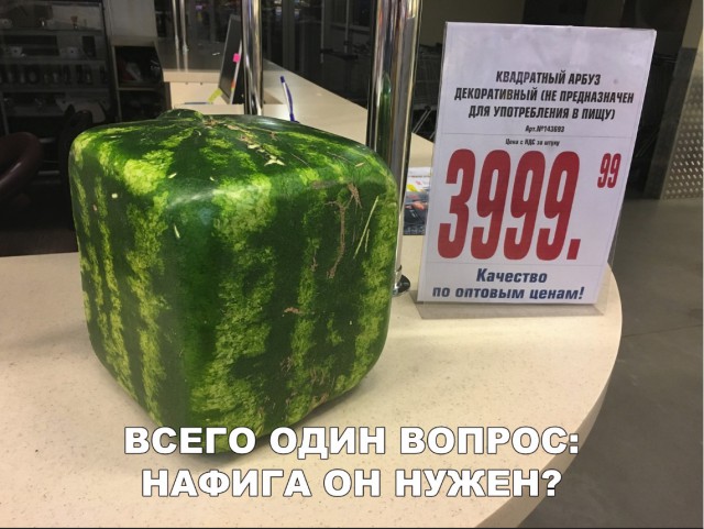 Подборка прикольных фоток