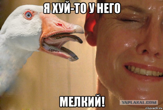 Идеальная жена