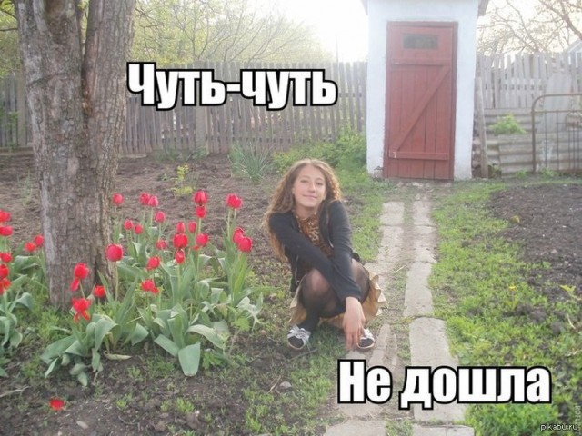 Чудики из социальных сетей
