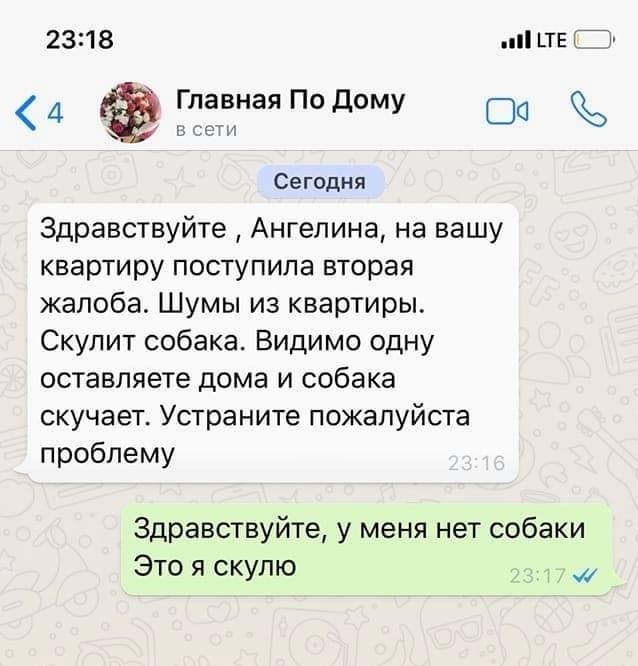 Все мы немного Ангелина