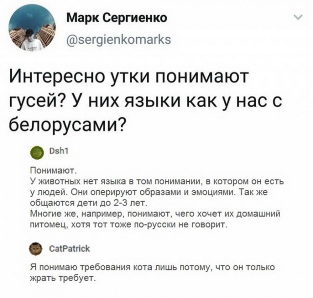Бредзона из картинок