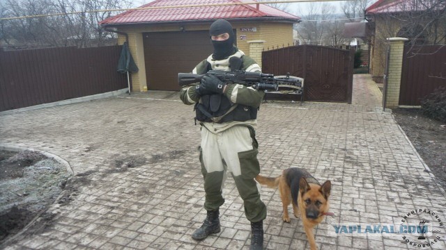 Братья наши меньшие на фронте