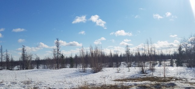 Проснулся сегодня, выглянул в окно - а там все в снегу