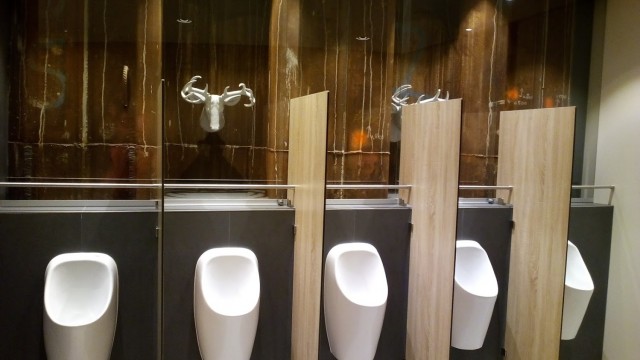 Туалеты мира