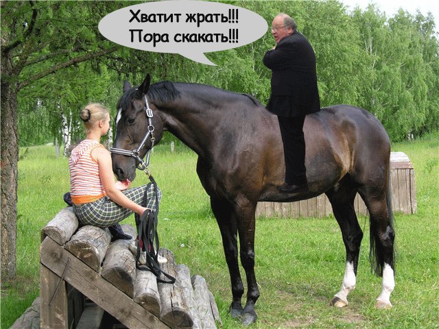 Битва фотожаберов (Команда №3)