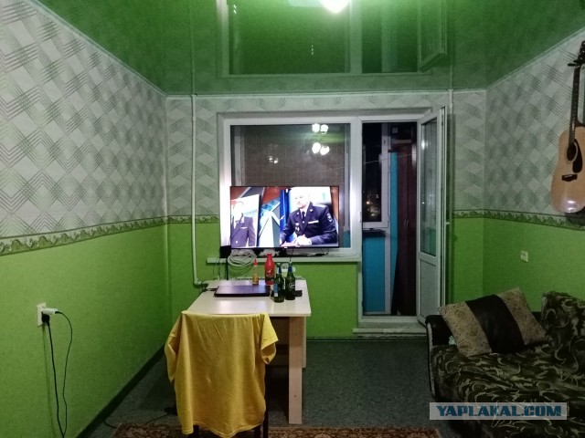 Мои пушистые (и не очень) подопечные 5