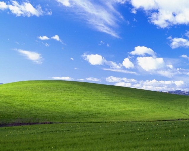 Раньше трава была зеленее: в Microsoft Flight Simulator нашли поле со стандартного фона рабочего стола Windows XP