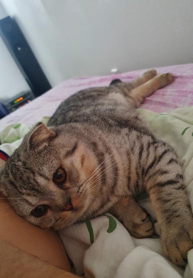 Моя красотка