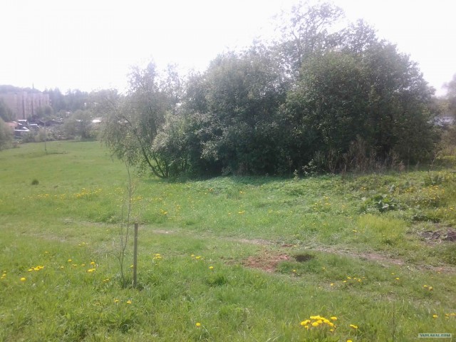 Как я провёл выходные.