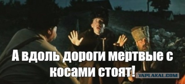 В свете новостей про полный локдаун на всё лето в Эстонии