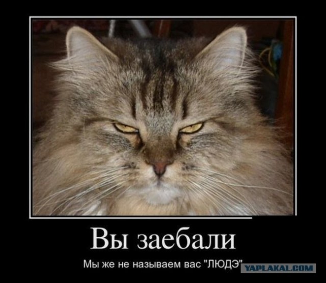 Вызов Принят!