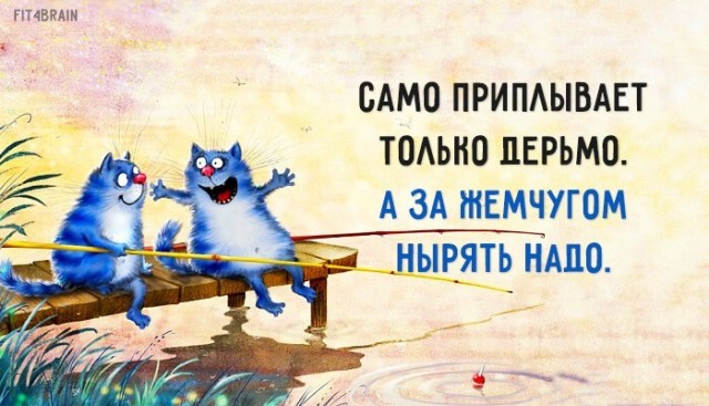Баянисто-небаянистый юмор 15.08.21